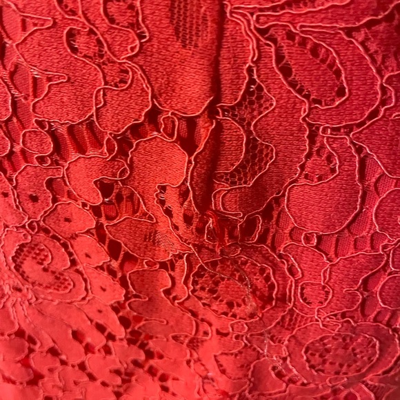 Lace corset Dress by Express in a vibrant coral color - Picture 5 of 7